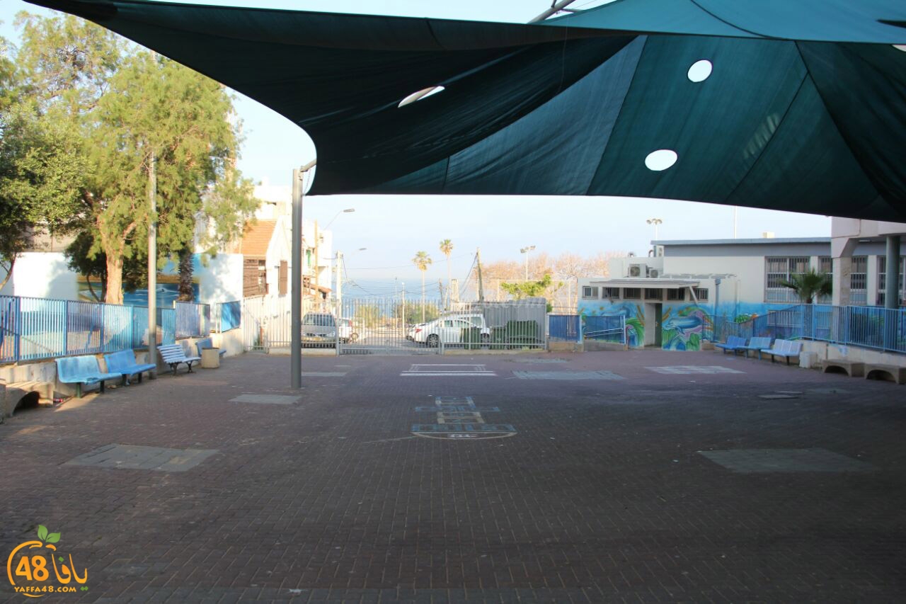 idrab shamela (6).jpg